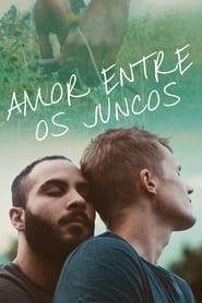 Assistir Filme Amor Entre os Juncos online grátis