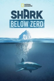 Assistir Filme Shark Below Zero online grátis